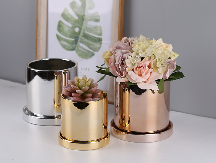Succulent orchid ceramic flower pot