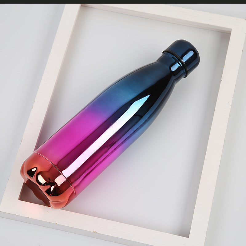 Insulated Water Bottle